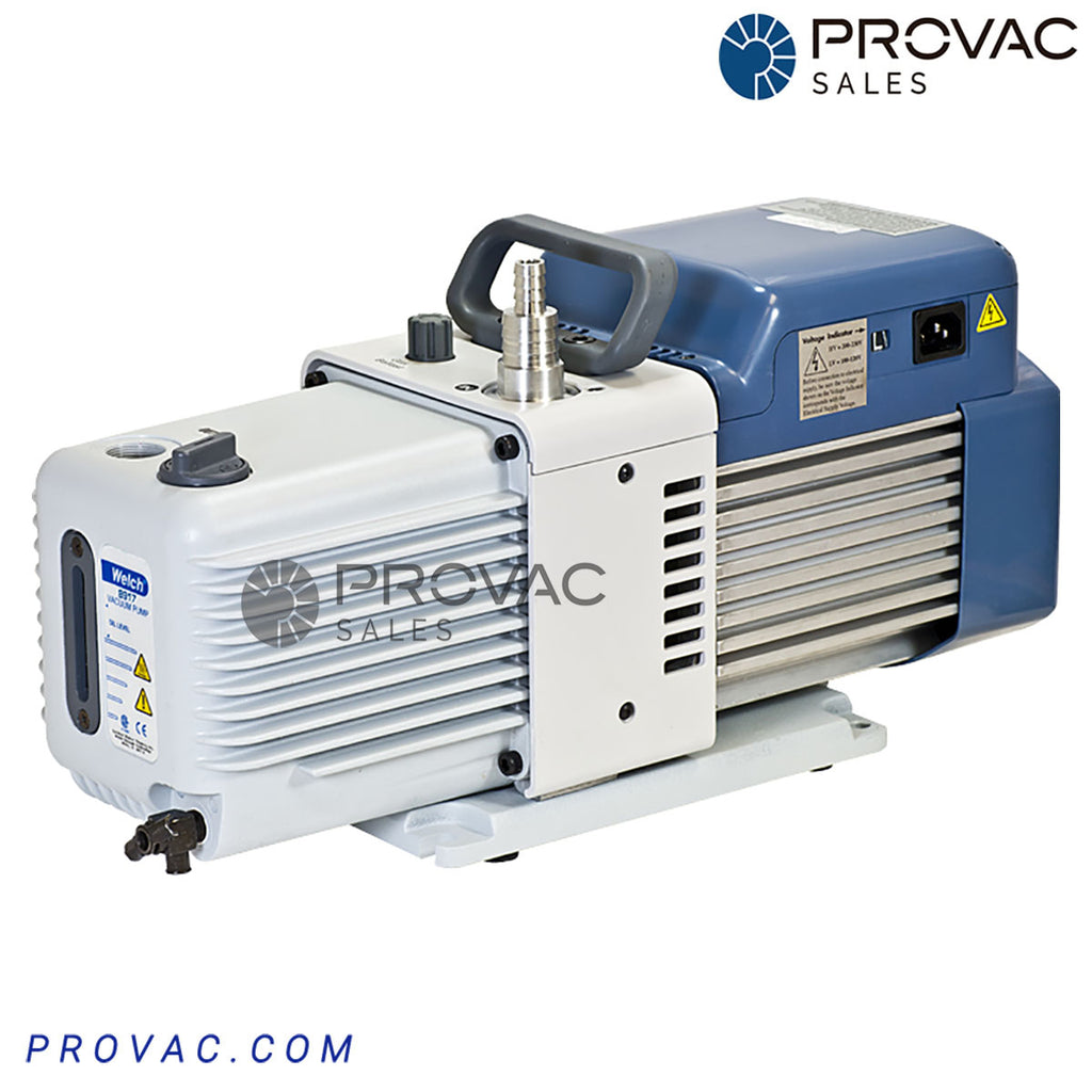 ラエッセ Welch 8917 Direct Drive Pump