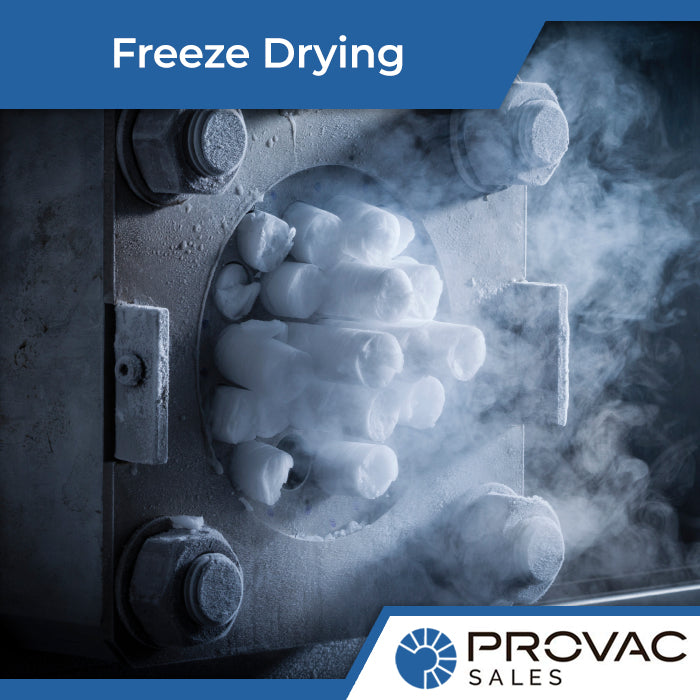 Vacuum Freeze Drying - What Is It & How Does It Work?
